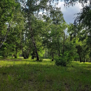 Фото от владельца Экологический парк, МБУ