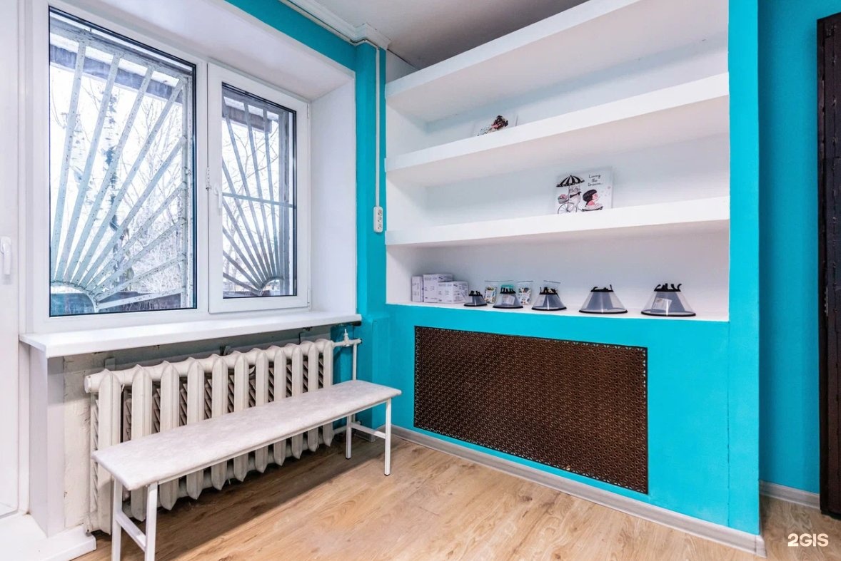 ветеринарная клиника пушистик. ветеринарная клиника пушистики казань. ветклиника комсомольский проспект 24/2. пушистики ветклиника. ветклиника пушистики казань декабристов.