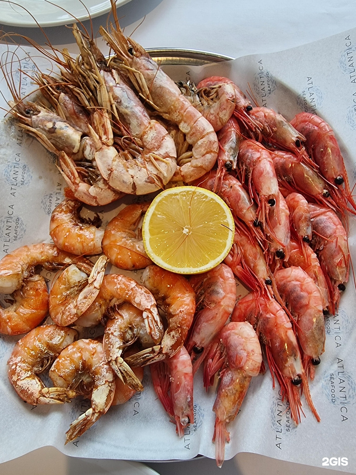 Atlantica seafood кутузовский. Ресторан Циндао морепродукты. Seafood ресторан Кутузовский. Ресторан морепродуктов Москва. Шербинка ресторан морепродукты.