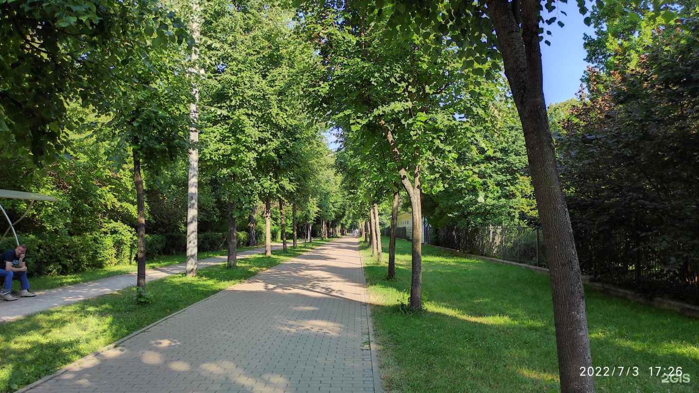 Филевский парк. Парк Филевский парк. Аллея парка Ораниенбаум. Парк Сокольники Москва.