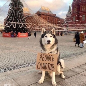 Фото от владельца Мой Любимчик, зоомагазин