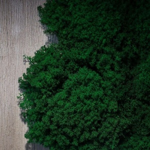 Фото от владельца Аврора Парк Отель, гостинично-ресторанный комплекс