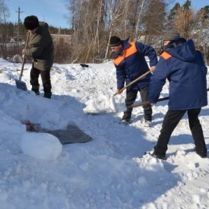 Фото от владельца Комитет природных ресурсов и экологии Волгоградской области