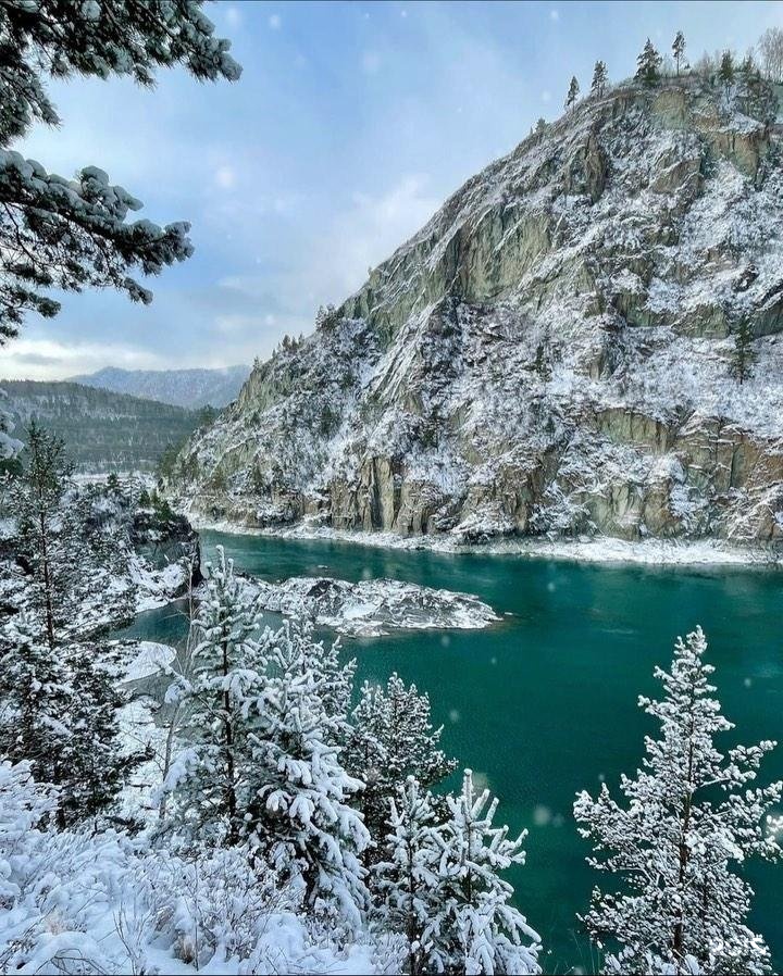 Ом тур алтай. Ом тур горный Алтай. Козья тропа Чемал фото.