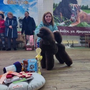 Фото от владельца Светский лев, зоосалон