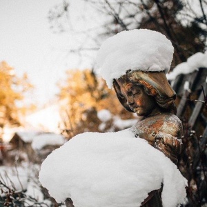 Фото от владельца Сад Пионов, гостевой дом