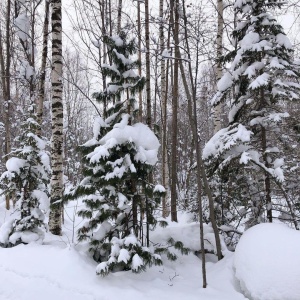 Фото от владельца Ski-Let Hotel, представительство в г. Иркутске