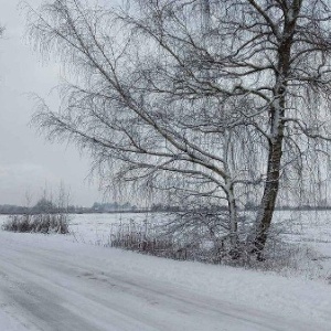 Фото от владельца Декорум, группа компаний