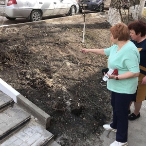 Фото от владельца Центральная городская библиотека им. Н. Островского