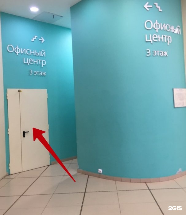 алина тур большевиков. алинатур в санкт петербурге. балканская площадь 5 ад офисы. алина тур санкт-петербург официальный сайт. алинатур в санкт петербурге.