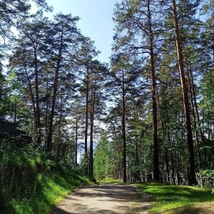 Фото от владельца Крутики, парусный центр