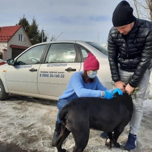 Фото от владельца Ветеринарная клиника Советского района