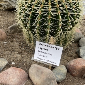 Фото от владельца Ботанический сад г. Кемерово, МП