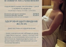 Лазаревское пос.: Курортный отель Одиссея Wellness Resort