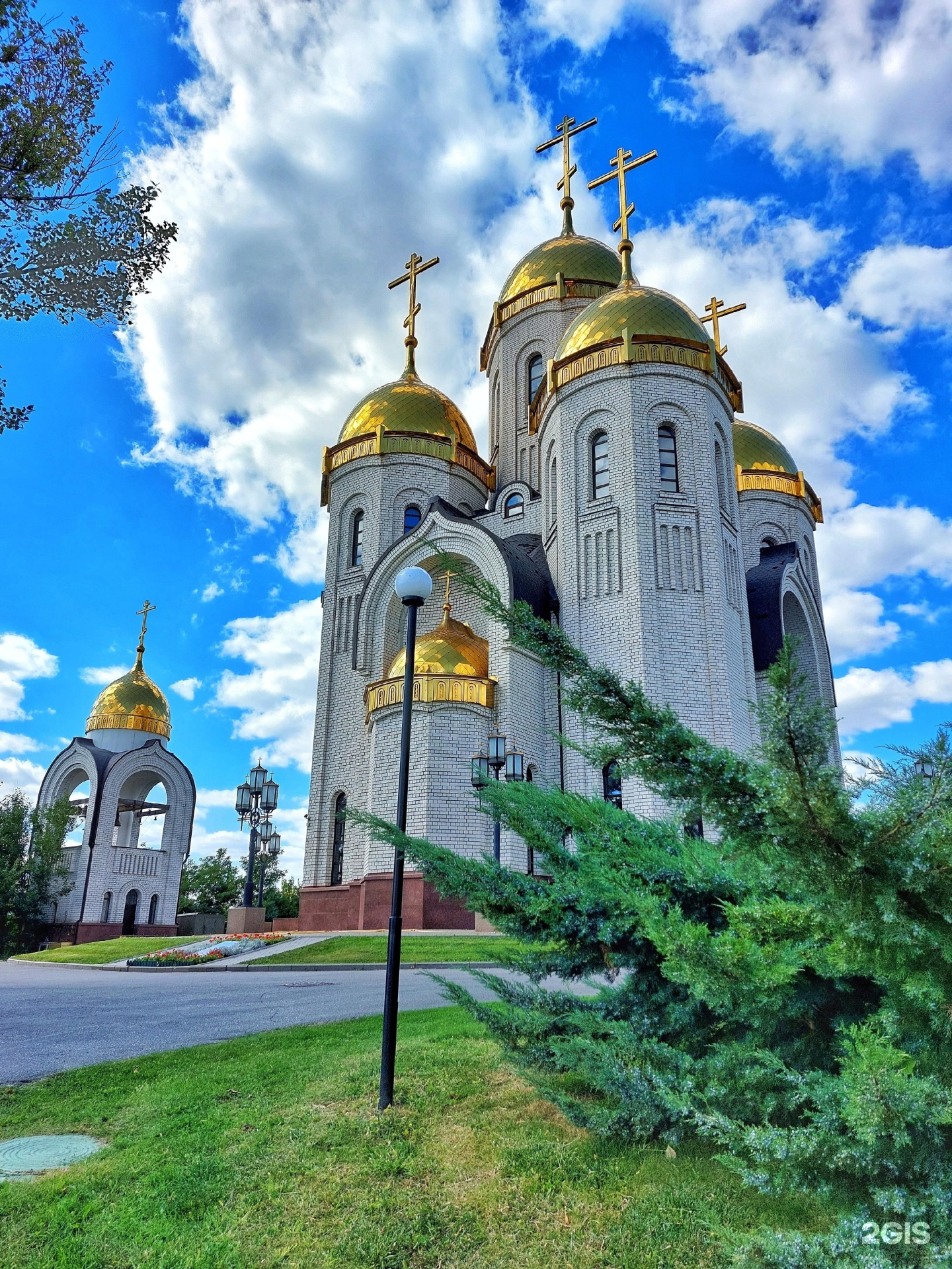 волга раст на мамаевом кургане волгоград фото 47