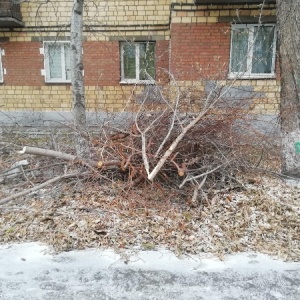 Фото от владельца ЖилФонд, ООО, городская управляющая компания