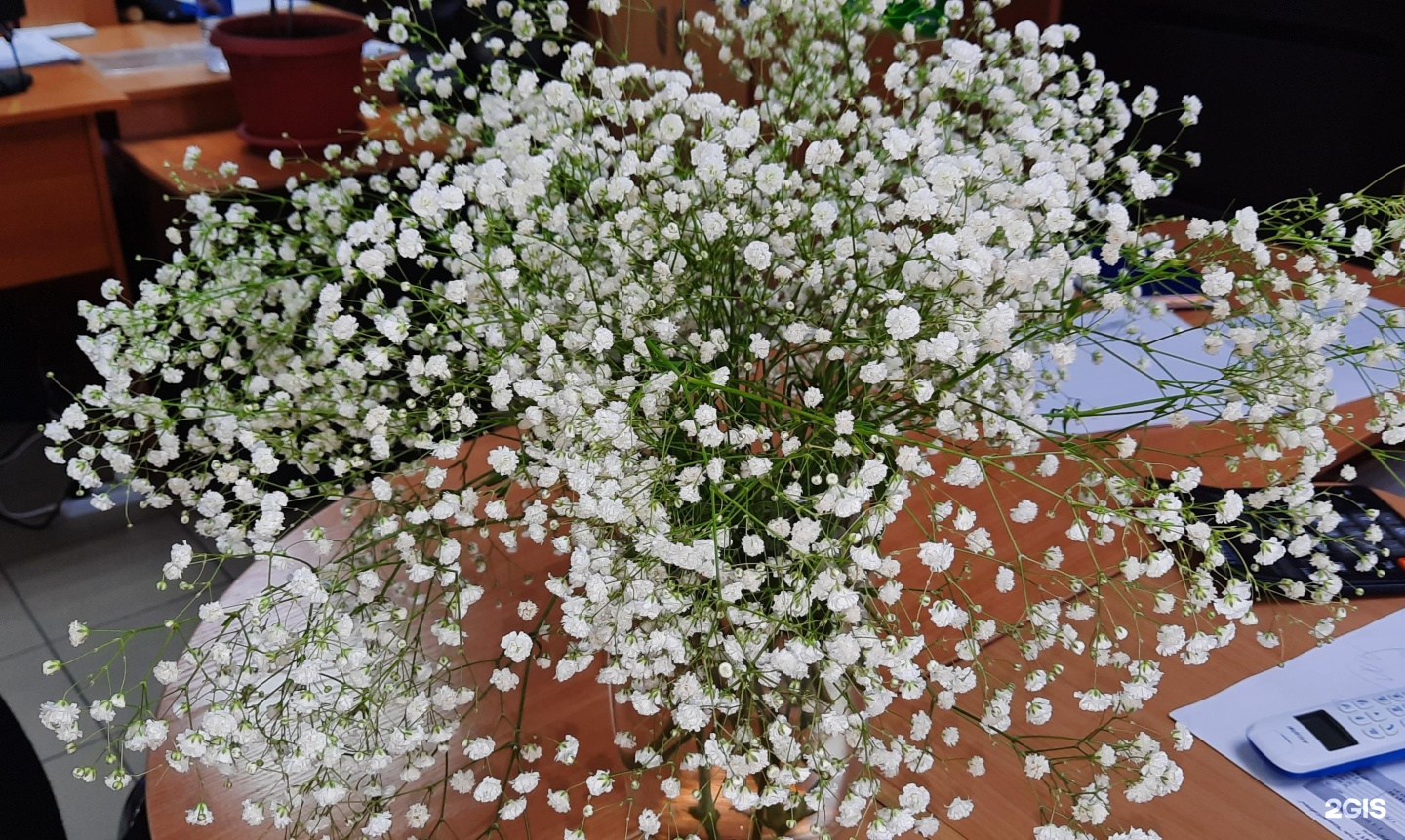 Цветы Барнаул. Цветы 22 рф