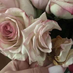 Фото от владельца Шары & цветы, студия цветов