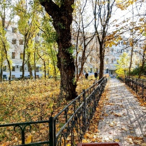 Фото от владельца Московский государственный медико-стоматологический университет им. А.И. Евдокимова