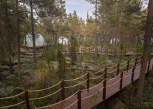 Сортавальский район: Глэмпинг Lago Ladoga