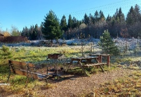 Апартаменты Weekend в Коробицыно в Ленинградской области