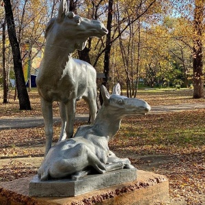 Фото от владельца Городской парк культуры и отдыха, МП