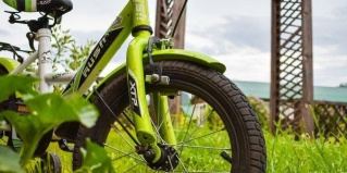 Чепош: Гостевой дом Солнечная поляна