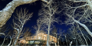 Елизовский район: Турбаза Kamchatka forest lodge