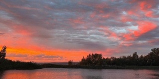 Чердаклинский район: Глэмпинг Тургеневские острова