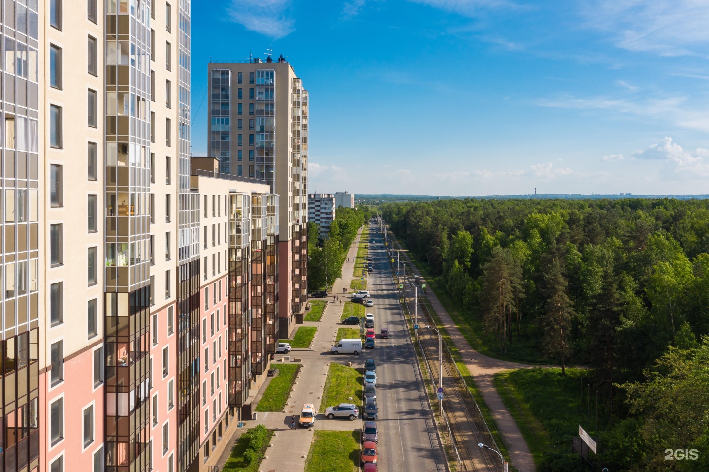 сосновая поляна в санкт петербурге