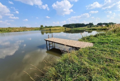 Пановка: Коттедж Охотничьи традиции