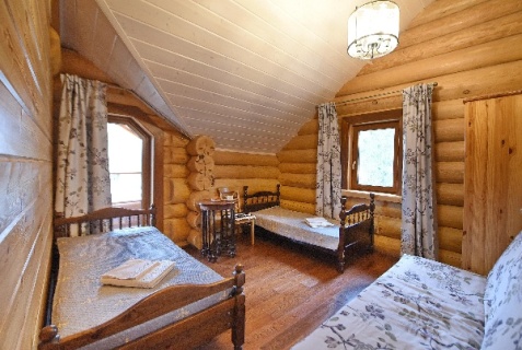 Вырица: Коттедж Вырицкий Мамонт