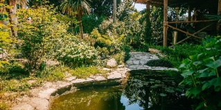 Сириус: Гостевой дом Ольга