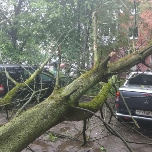 Фото от владельца Сити-Рент, компания по прокату автомобилей