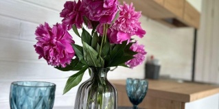 Чепош: Гостевой дом Солнечная поляна