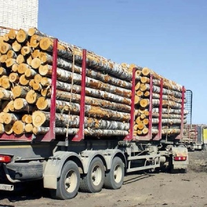 Фото от владельца Лигнум-Ресурс, компания по производству древесной муки