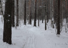 Асбест: Отель Горный лен