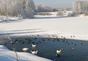 Турбаза Алешкины пруды в Калужской области