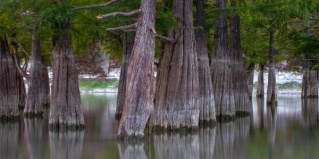 Анапа: Гостевой дом Моя Анапа