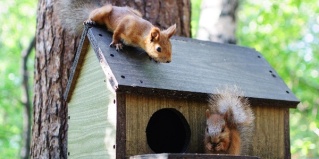 Белоярский городской округ: Глэмпинг Vinder Village