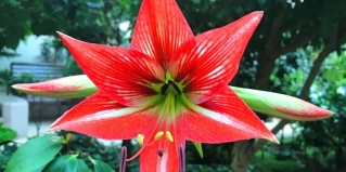 Санаторное: Санаторий Синегорские минеральные воды