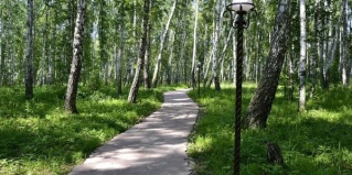 Ялуторовск: Отель Березовая роща