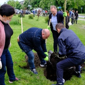 Фото от владельца Центральный парк культуры и отдыха