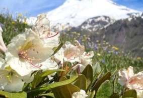 Отель Family club на горе Эльбрус