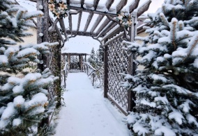 Отель Распутин в Мостовском