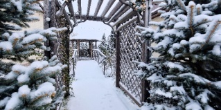 Мостовской: Отель Распутин