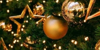 Дроздово: Отель Сова Беседы