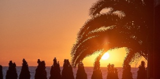 Адлер: Отель Gp Фестиваль