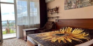 Сочи: Гостевой дом Ледис