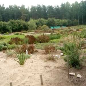Фото от владельца Центральный Сибирский Ботанический сад СО РАН